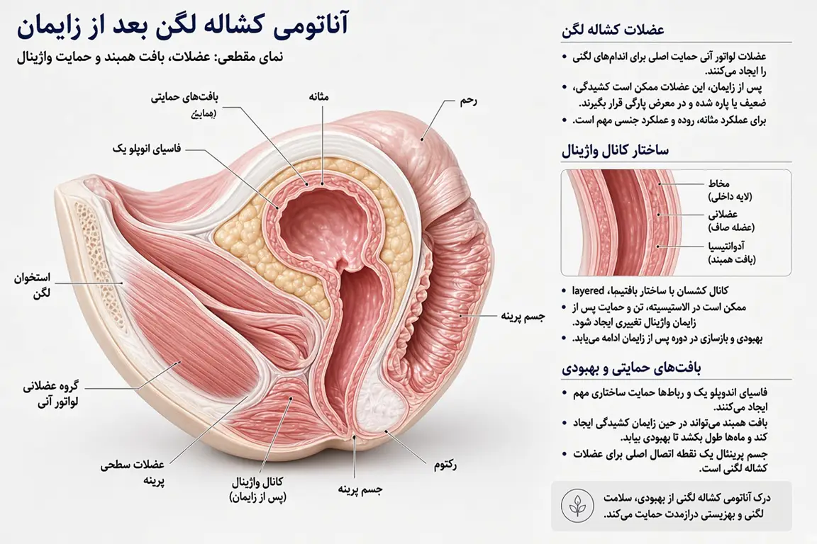 واژینوپلاستی بعد از زایمان2